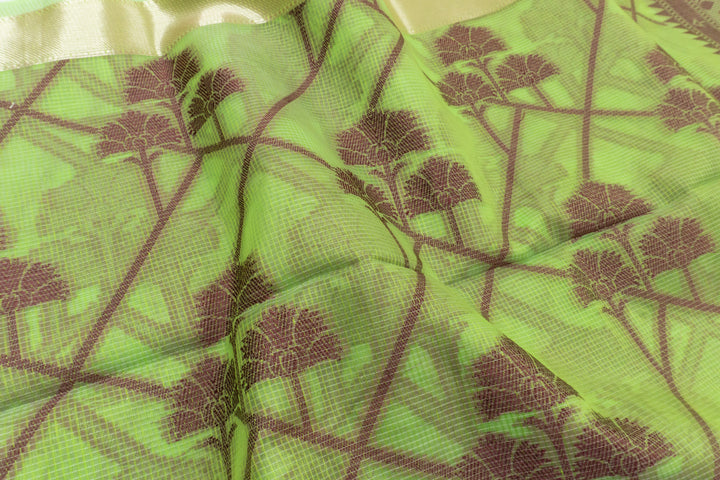 Green Peas Color Handloom Fancy Cotton Saree