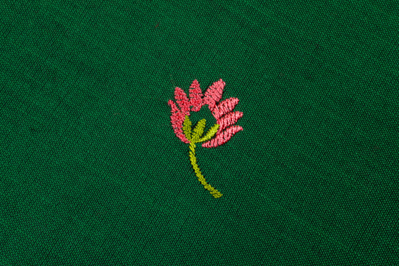 Lotus Green Colour Cotton Embroidery Saree with contrast blouse