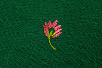 Lotus Green Colour Cotton Embroidery Saree with contrast blouse
